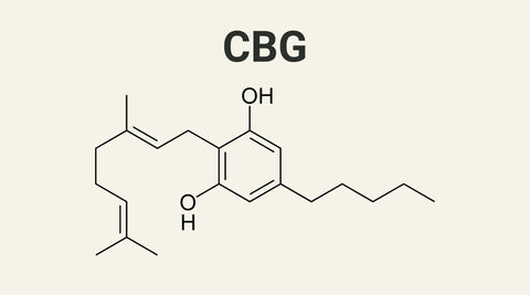 CBG: Il Cannabinoide del Futuro – Guida Completa