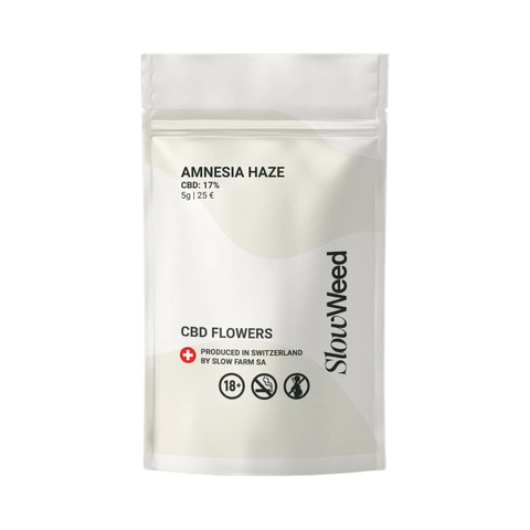 Amnesia Haze - Greenhouse