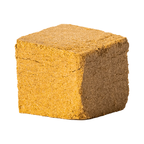 Mango Rambo - Dry Sift