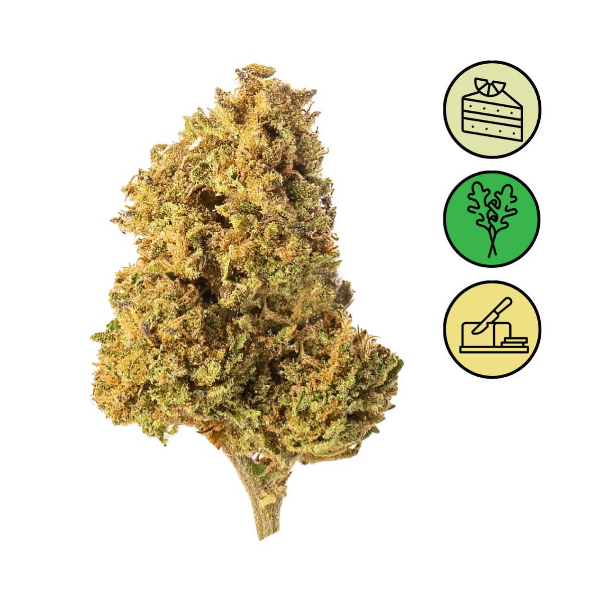 Lemon Muffin - Outdoor